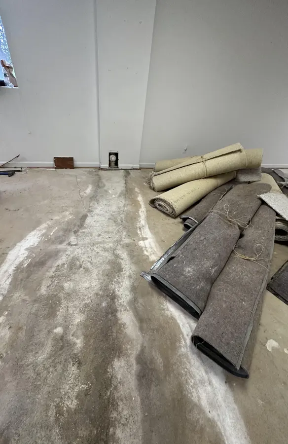 Basement carpet and pad pulled up and rolled during a water damage cleanup