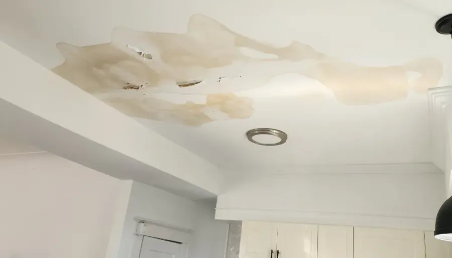 Water stains spreading across a ceiling around a light fixture