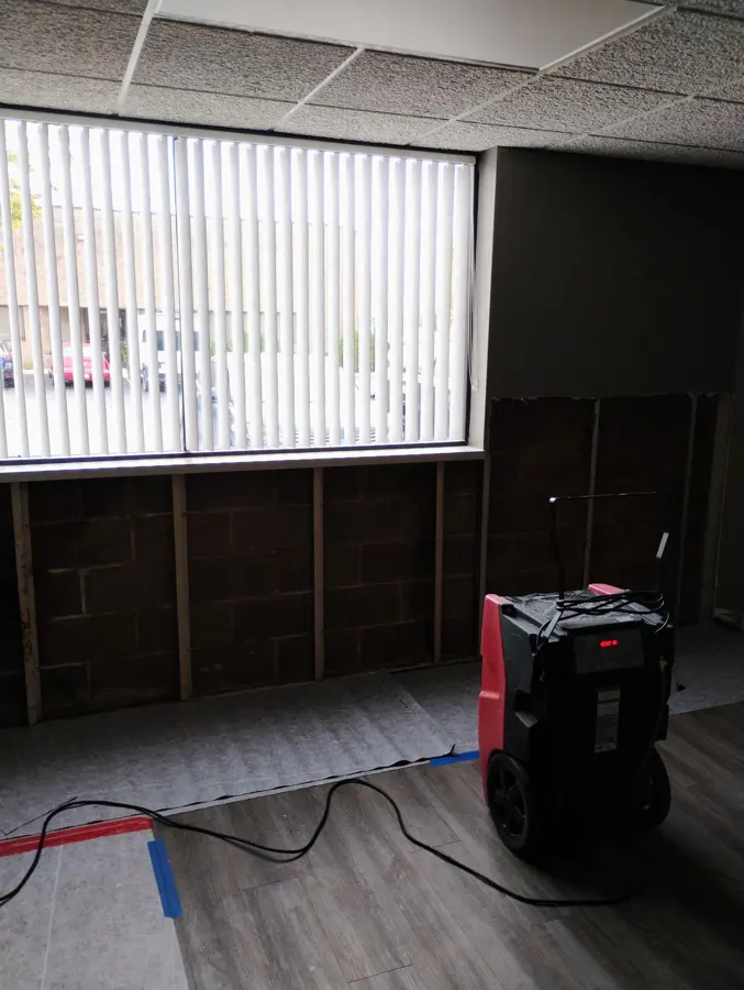 Monroe structural drying: a dehumidifier running in a basement room with the lower wall panels removed