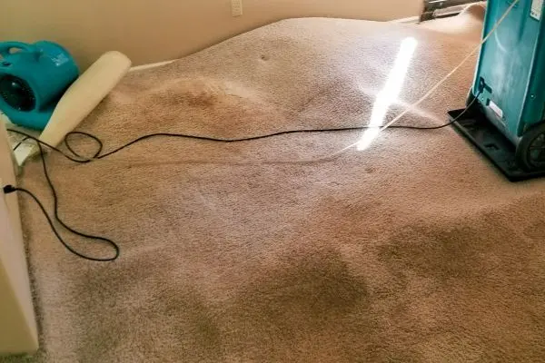Monroe water extraction: an extraction unit and an air mover set up on soaked carpet